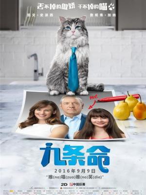 精选视频合集